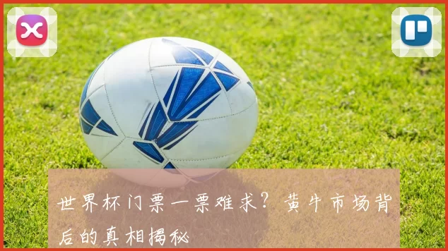 世界杯门票一票难求？黄牛市场背后的真相揭秘