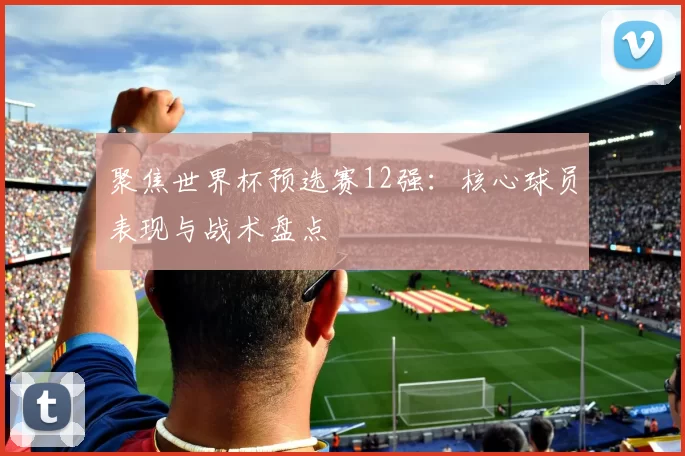 聚焦世界杯预选赛12强：核心球员表现与战术盘点