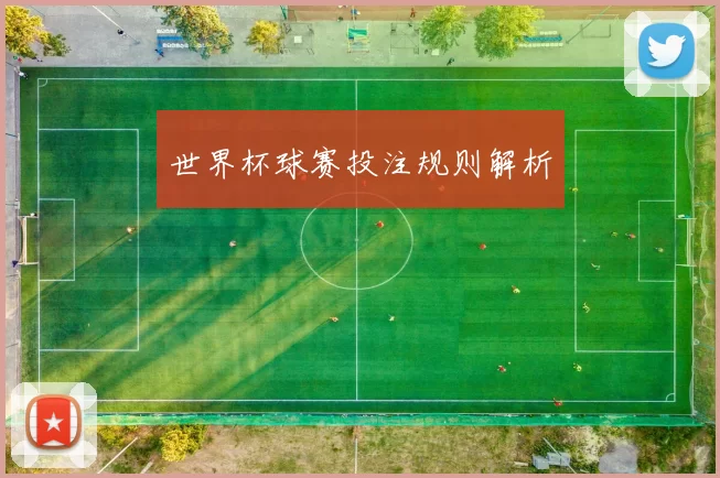 世界杯球赛投注规则解析