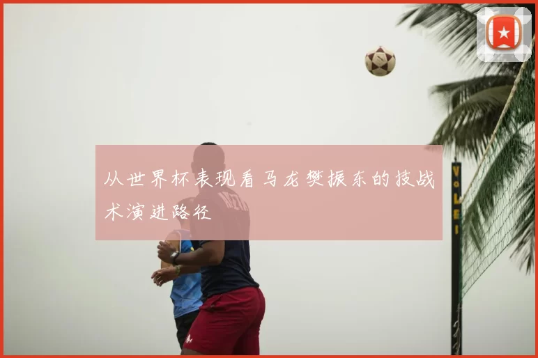 从世界杯表现看马龙樊振东的技战术演进路径