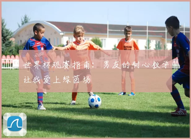 世界杯观赛指南：男友的耐心教学让我爱上绿茵场