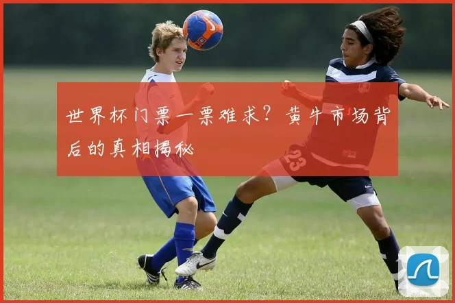 世界杯门票一票难求?黄牛市场背后的真相揭秘