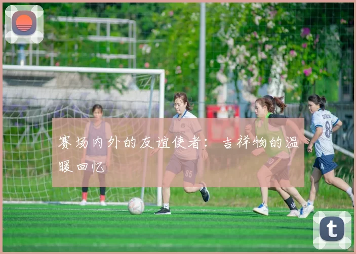 赛场内外的友谊使者:吉祥物的温暖回忆