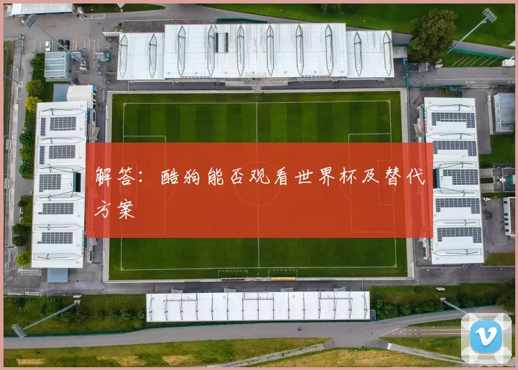 解答：酷狗能否观看世界杯及替代方案