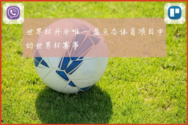 世界杯并非唯一 盘点各体育项目中的世界杯赛事