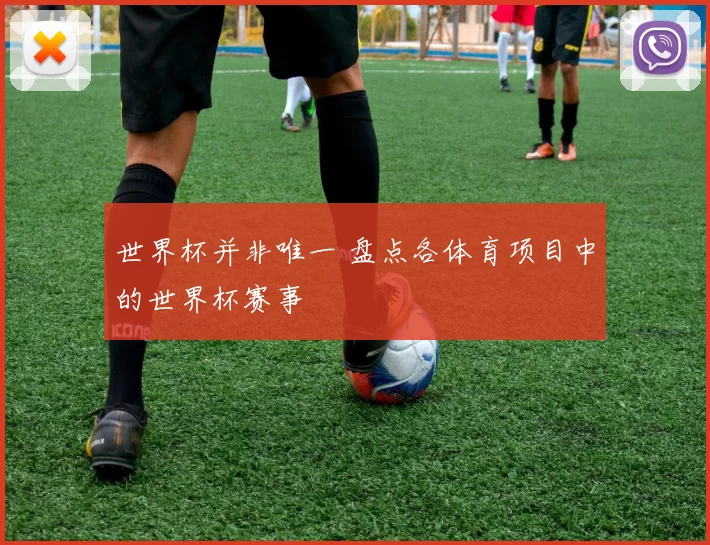 世界杯并非唯一 盘点各体育项目中的世界杯赛事