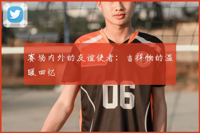 赛场内外的友谊使者:吉祥物的温暖回忆