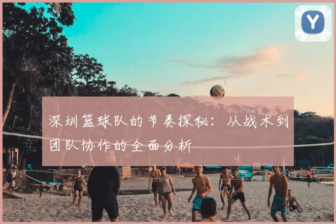 深圳篮球队的节奏探秘：从战术到团队协作的全面分析