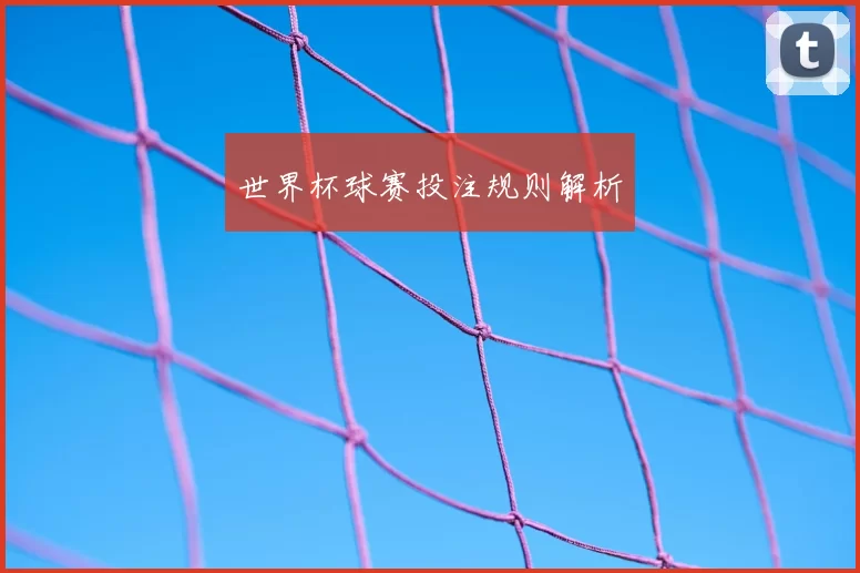 世界杯球赛投注规则解析