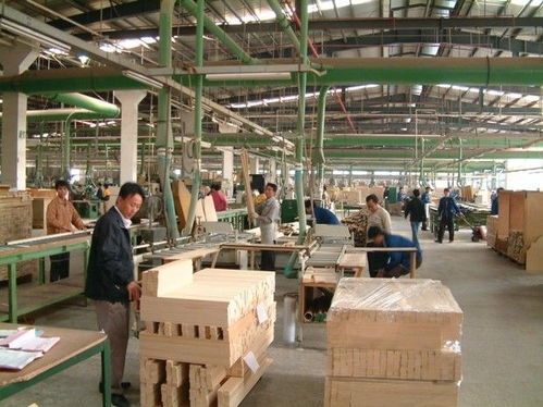 从负债五千到资产百万 一位建材创业者的稳健之路